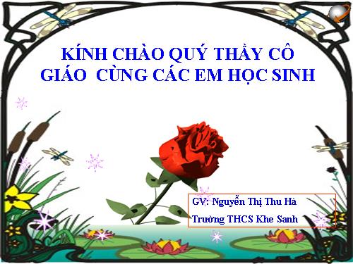 anh cu mot vat tao boi thau kinh hoi tu