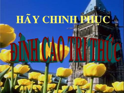 Đố vui để học