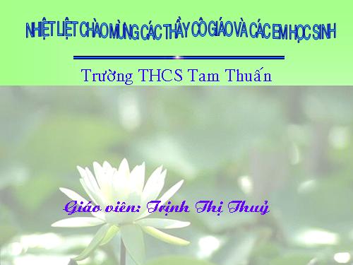 Tiến trình kỉ niệm 20/11