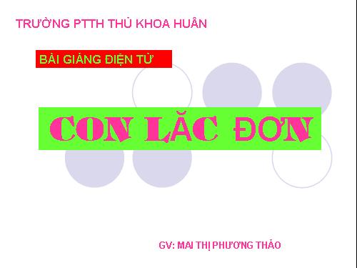 kiểm tra 15