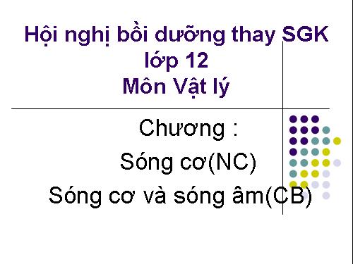 Bài giảng thay SGK VL 12