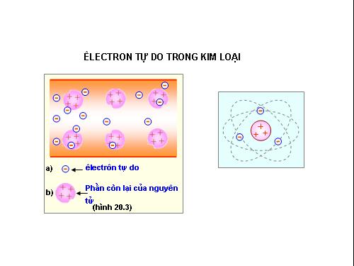 Electron tự do trong kim loại