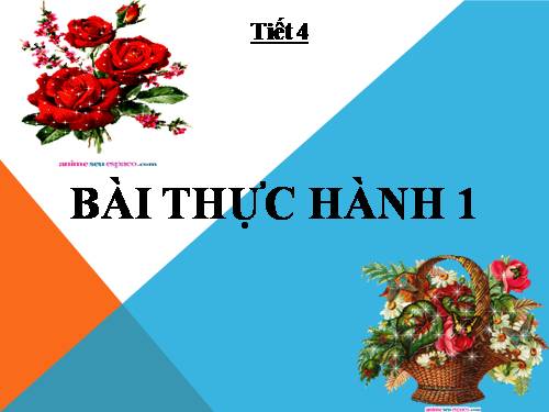 Bài 3. Bài thực hành 1