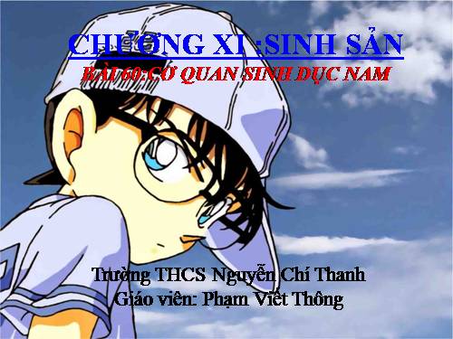 sinh học 8 - powerpoint - bai co quan sinh duc nam