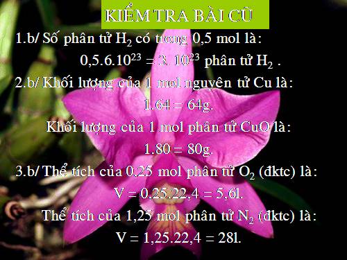 Bài 19. Chuyển đổi giữa khối lượng, thể tích và lượng chất