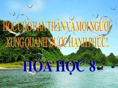 Bài 13. Phản ứng hoá học