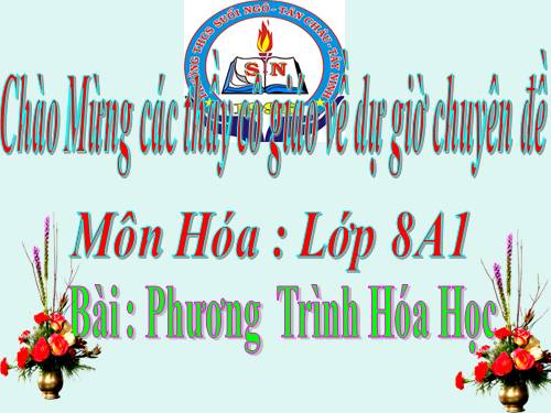 Bài 16. Phương trình hoá học