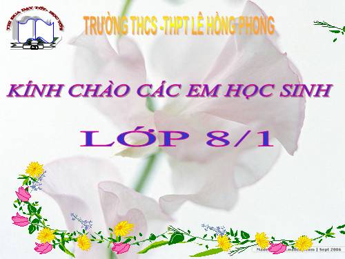 Bài 6. Đơn chất và hợp chất - Phân tử