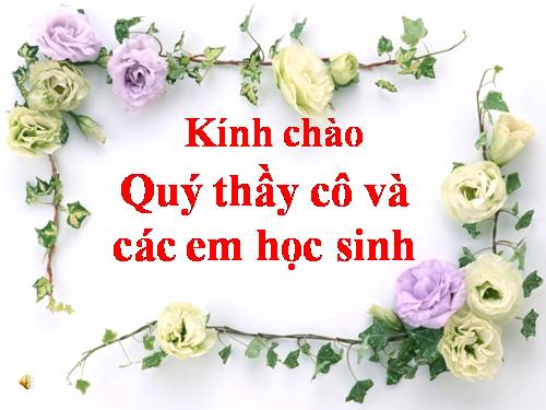 Bài 15. Định luật bảo toàn khối lượng