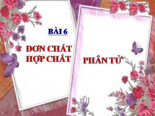 Bài 6. Đơn chất và hợp chất - Phân tử