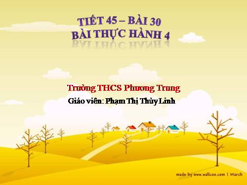 Bài 30. Bài thực hành 4