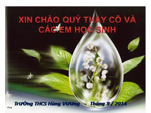 Bài 6. Đơn chất và hợp chất - Phân tử