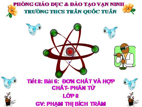 Bài 6. Đơn chất và hợp chất - Phân tử