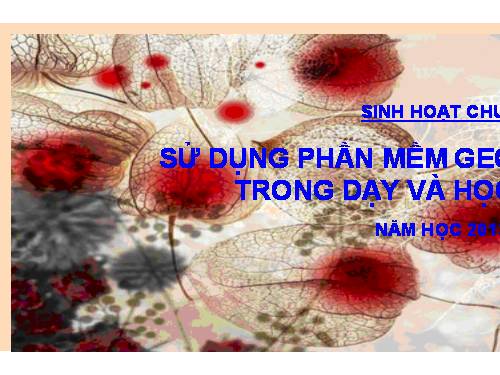 Sử dụng GSP trong toán hình