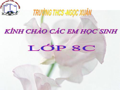 Bài 6. Đơn chất và hợp chất - Phân tử