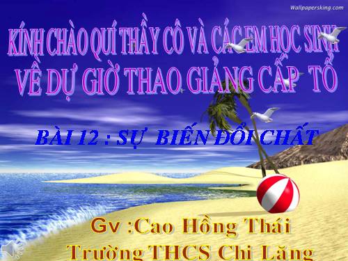 Bài 13. Phản ứng hoá học