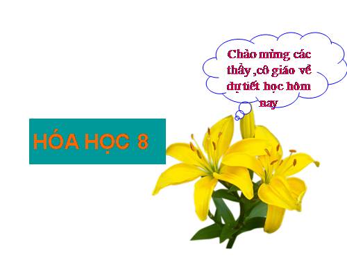 Bài 13. Phản ứng hoá học