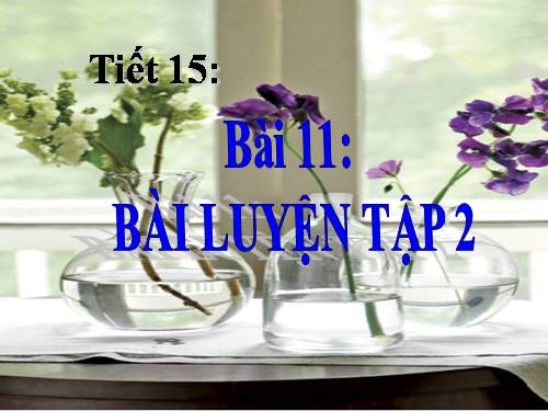 Bài 11. Bài luyện tập 2