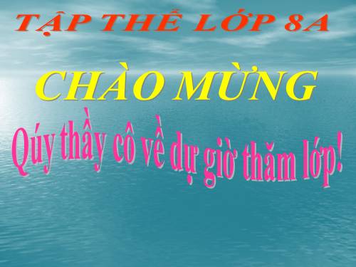 Bài 8. Bài luyện tập 1