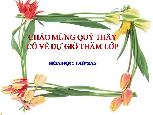 bai luyen tap 8 cuc hay, giao vien gioi thanh pho
