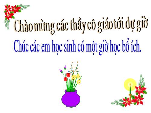 Bài 38. Bài luyện tập 7