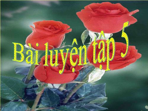 Bài 29. Bài luyện tập 5