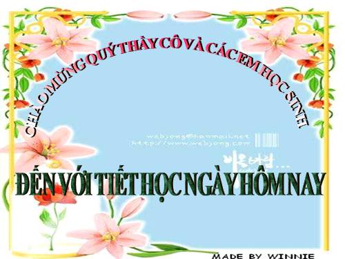 GA thi tinh tiet 41
