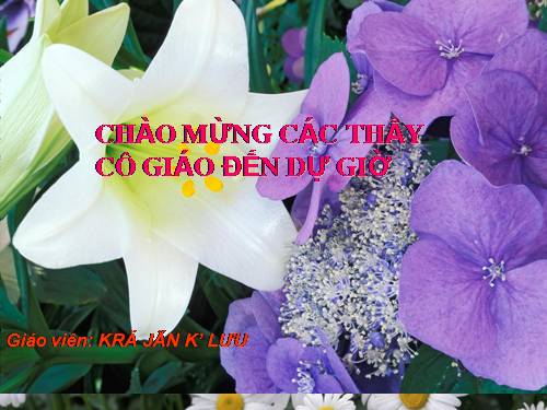 Bài 16. Phương trình hoá học