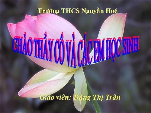 Bài 13. Phản ứng hoá học