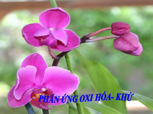 Bài 32. Phản ứng oxi hoá - khử