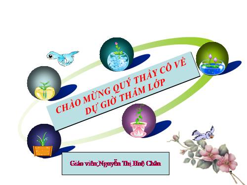 Bài 17. Bài luyện tập 3