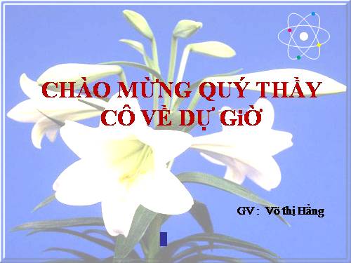 Bài 15. Định luật bảo toàn khối lượng