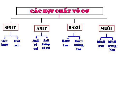 Bài 8. Bài luyện tập 1