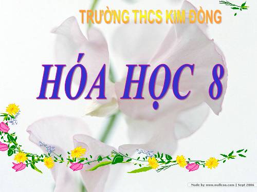 Bài 16. Phương trình hoá học