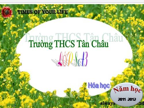 Bài 16. Phương trình hoá học