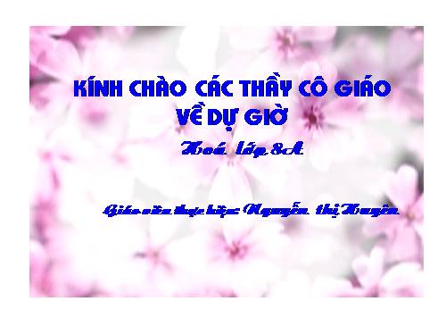 Bài 13. Phản ứng hoá học
