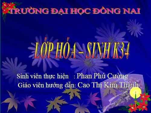 Bài 13. Phản ứng hoá học