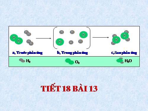 Bài 13. Phản ứng hoá học