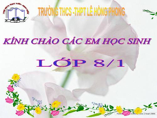 Bài 6. Đơn chất và hợp chất - Phân tử