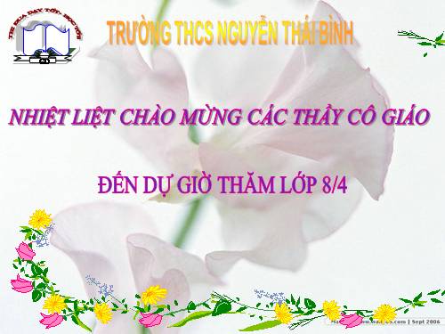 Bài 6. Đơn chất và hợp chất - Phân tử