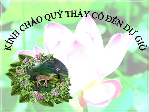 Bài 6. Đơn chất và hợp chất - Phân tử