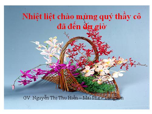 Bài 34. Bài luyện tập 6