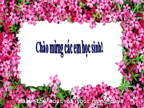 Bài 39. Bài thực hành 6