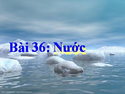 Bài 36. Nước