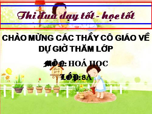 Bài 11. Bài luyện tập 2