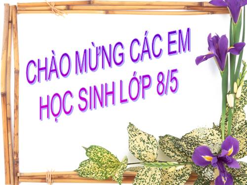 H8_Bài luyện tập 3