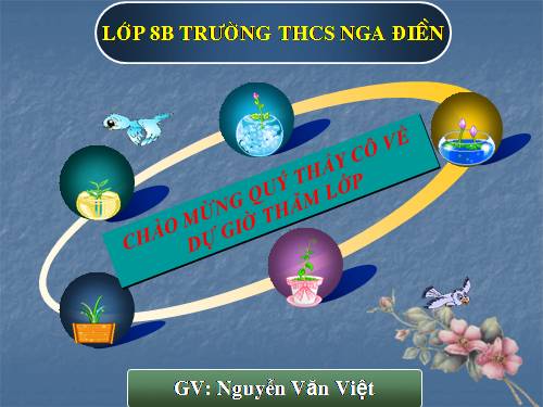 Bài 17. Bài luyện tập 3