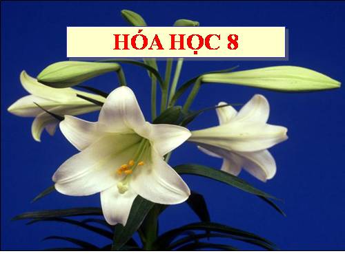 Sự biến đổi chất