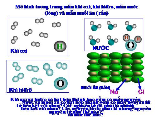 Bài 6. Đơn chất và hợp chất - Phân tử