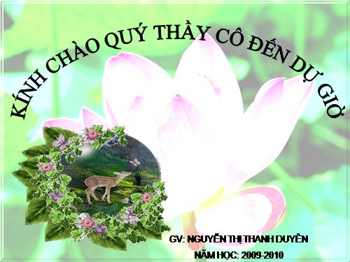 Bài 6. Đơn chất và hợp chất - Phân tử